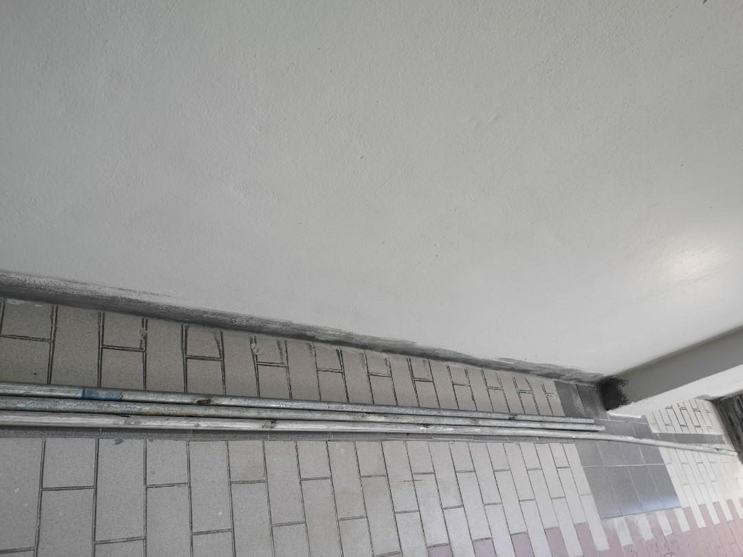 used-iron-rod-10-feet-gate-and-5-ft-iron-rod-fence-12-ft-stainless