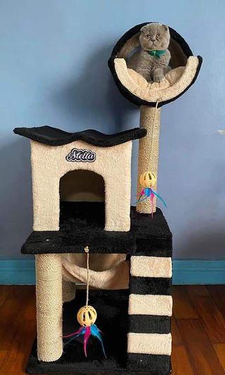 Cat Condo View All Cat Condo Ads In Carousell Philippines