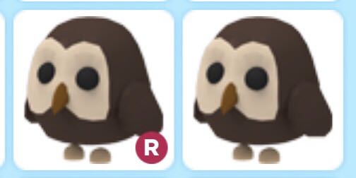 Roblox Adopt Me Pets Crow Owl Parrot Toys Games Video Gaming In Game Products On Carousell - roblox adopt me pets neon owl