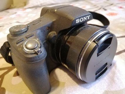 Sony HX100V