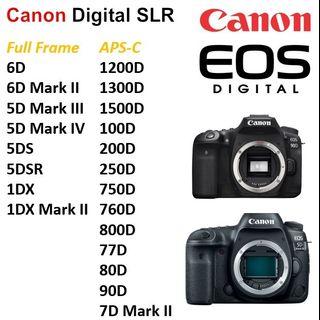 canon 250d photography carousell