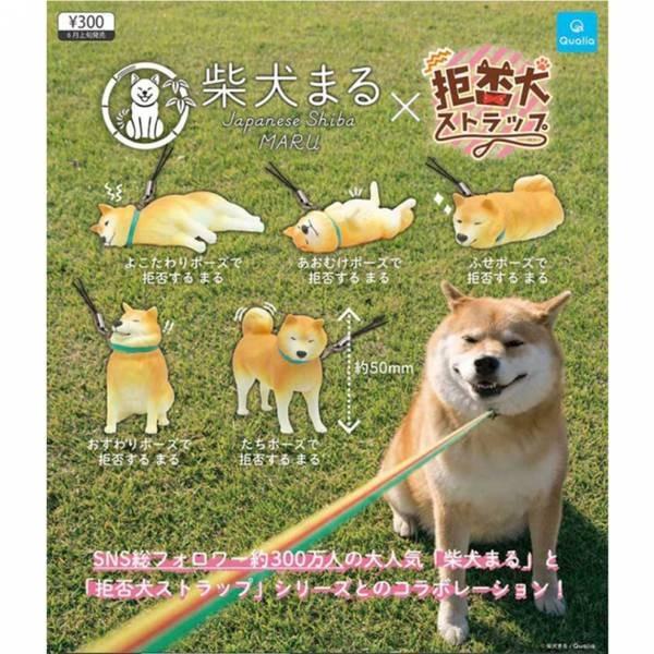 June Gacha Po Shiba Inu Maru Denial Dog Strap Æ´ç¬ã¾ã Æå¦ç¬ã¹ãã©ãã 5pcs Set Toys Games Bricks Figurines On Carousell Japanese shiba inu and instagram star whose photos of his maru the shiba before fame. carousell