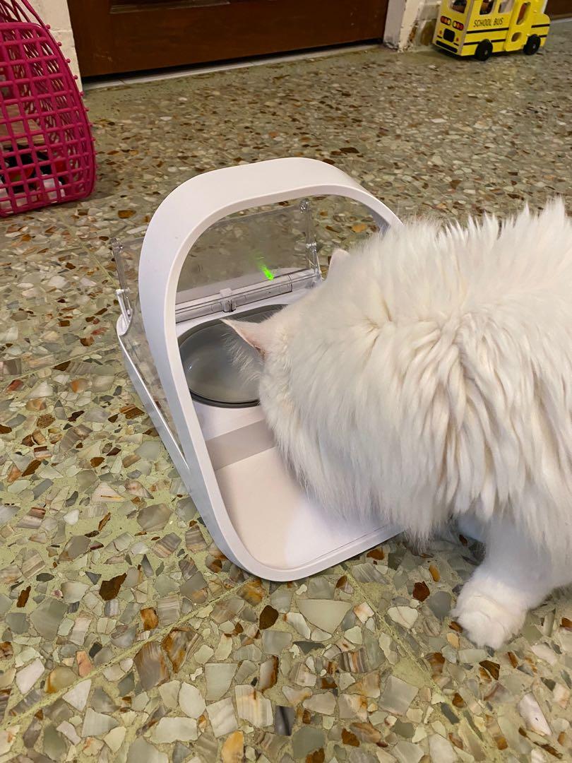 surefeed microchip pet feeder, Pet Supplies, Homes & Other Pet