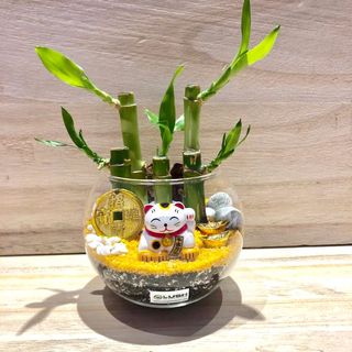 (Category: ) located in . Submitted by lushglassdoor (Listing ID 280231687, Image 1). Description: .