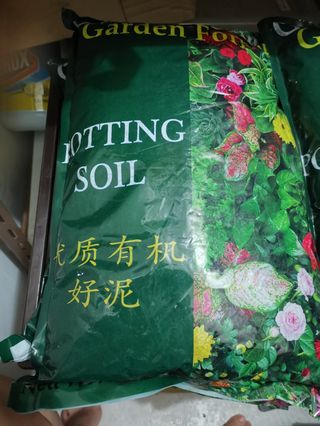 (Category: ) located in . Submitted by honeybee78gardening (Listing ID 267904527, Image 1). Description: .