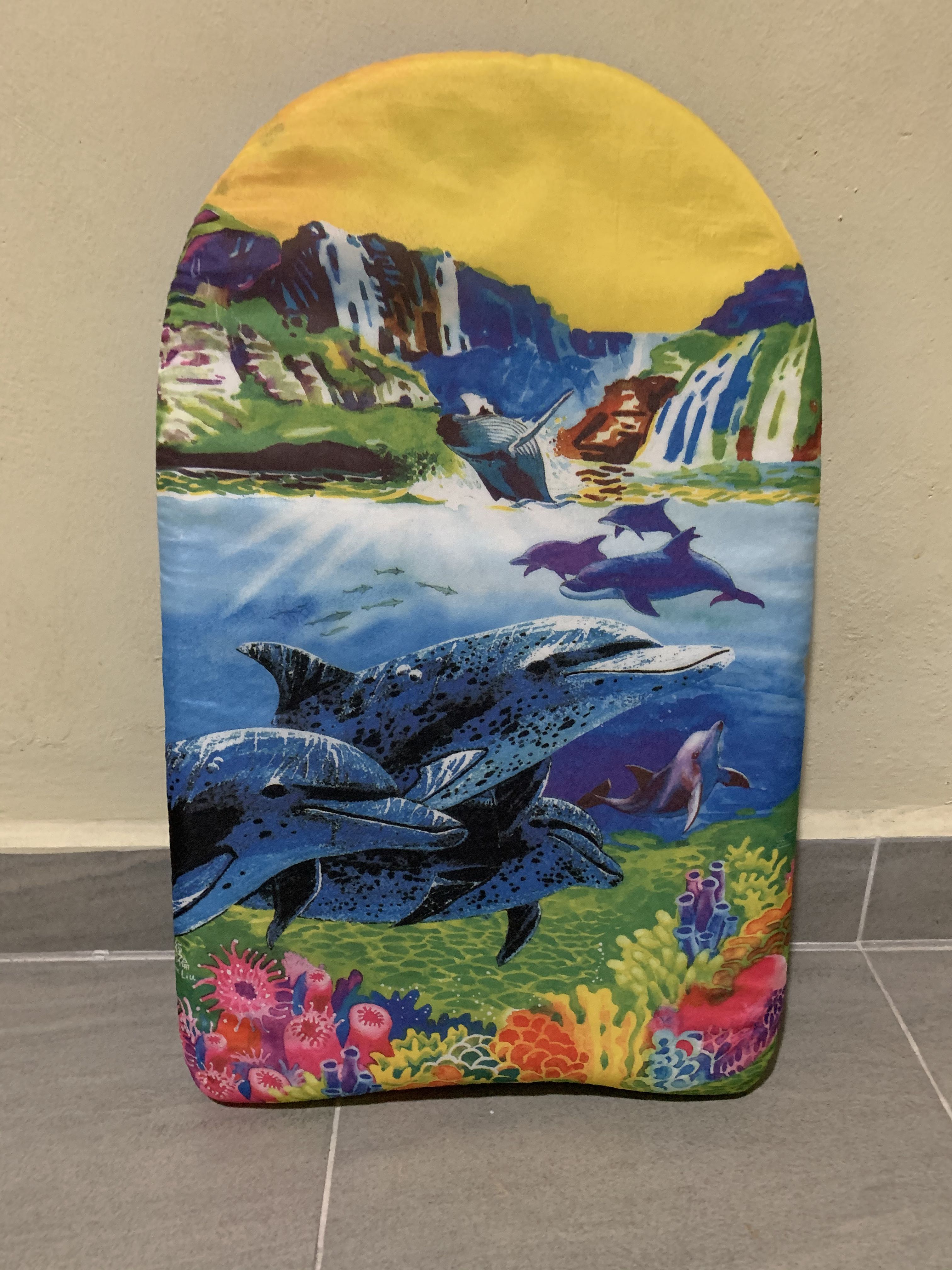 Arena Swimming Board, Sports Equipment, Sports & Games, Water Sports on