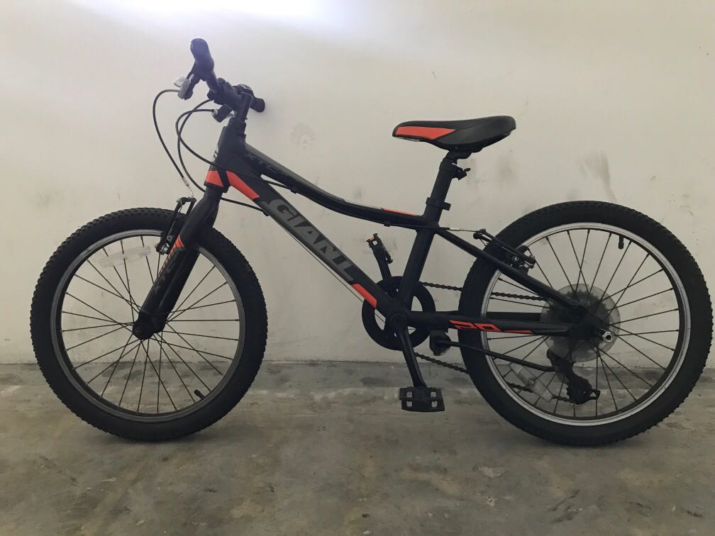 giant kids mtb