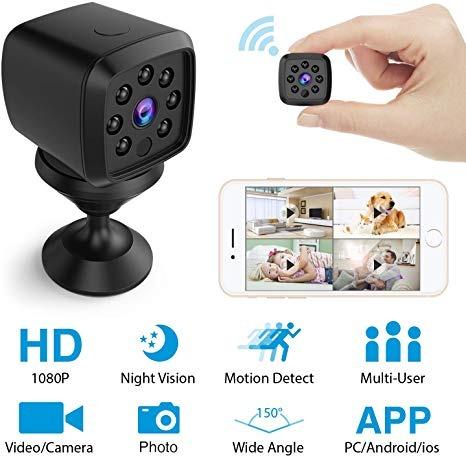 hidden remote cameras