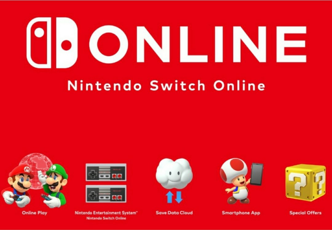 Nintendo Switch Family Plan, Video Gaming, Video Game Consoles