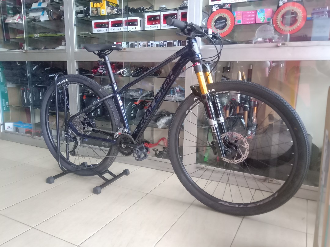raleigh enduro