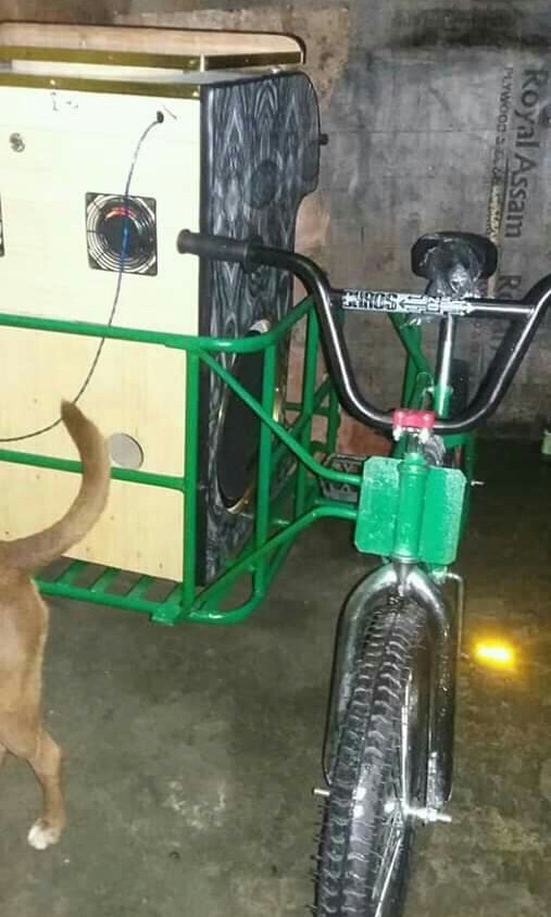bicycle sidecar for dogs for sale