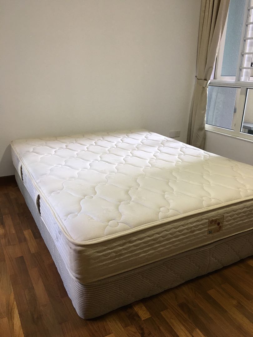 Sealy posturepedic high performance hotsell