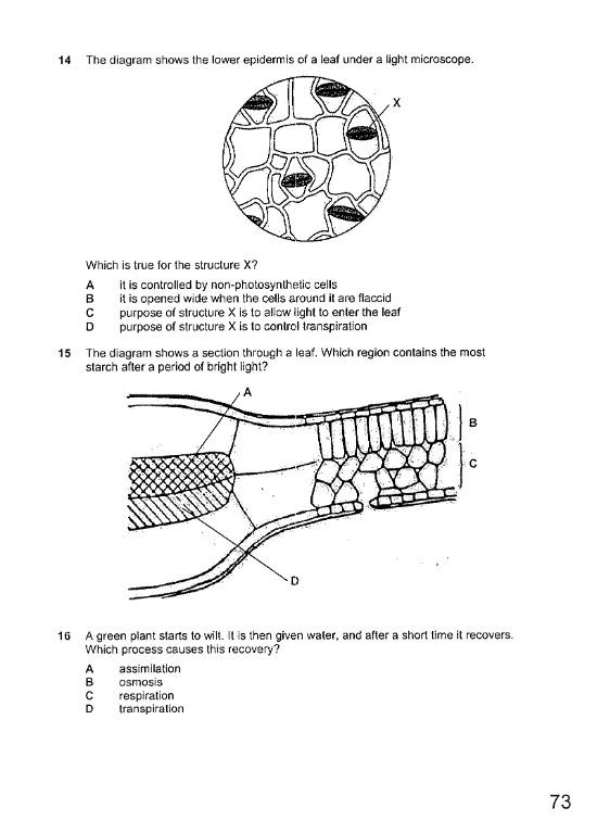 Sec 4 Biology Prelim Paper / MCQ / Prelim 2 / Paper 1 / Exam Paper, Books & Stationery ...