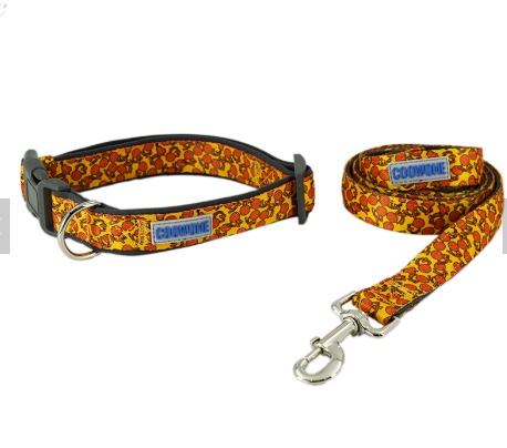 nylon dog leash