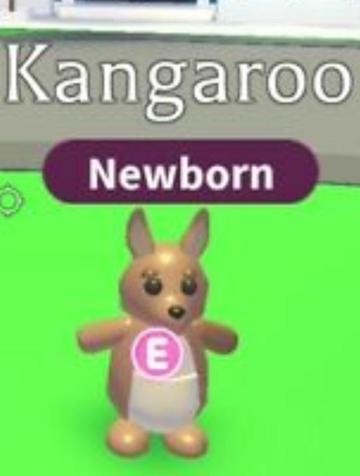 Trading Turtle And Kangaroo Adopt Me Roblox Toys Games Video Gaming In Game Products On Carousell - roblox adopt me pet turtle