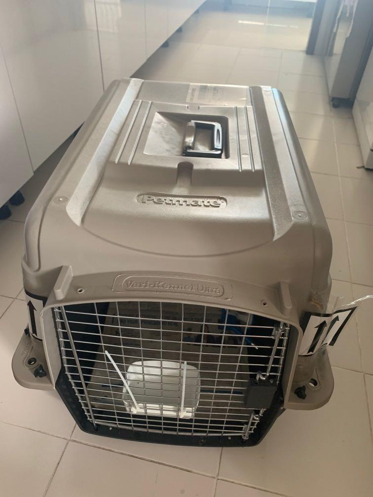 Electronic online dog crate