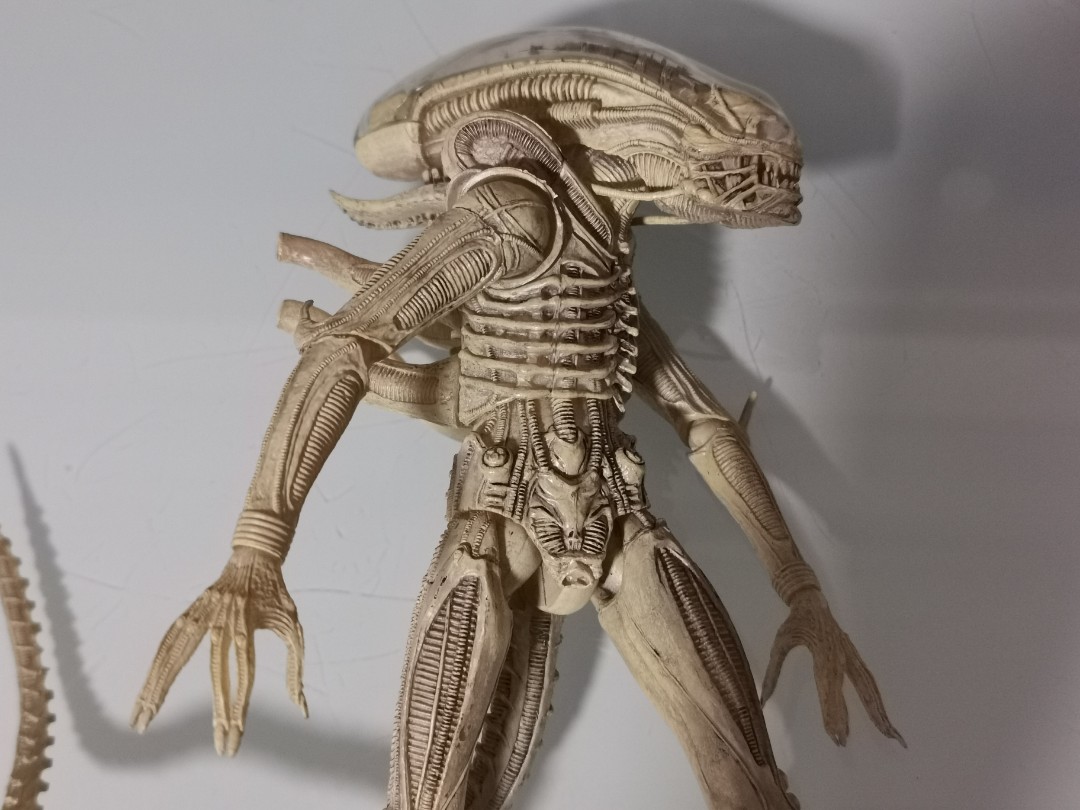 Alien Translucent Prototype Predator, Hobbies & Toys, Toys & Games on ...