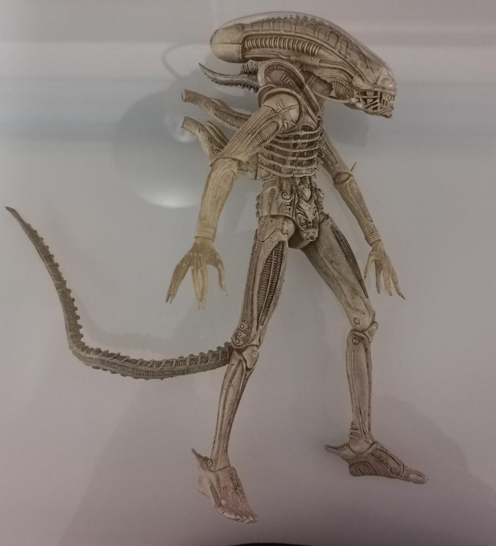Alien Translucent Prototype Predator, Hobbies & Toys, Toys & Games on ...