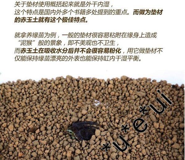 柴灣水中情lifeline命脈箱龜赤玉土4l 寵物用品 寵物家品及其他 Carousell