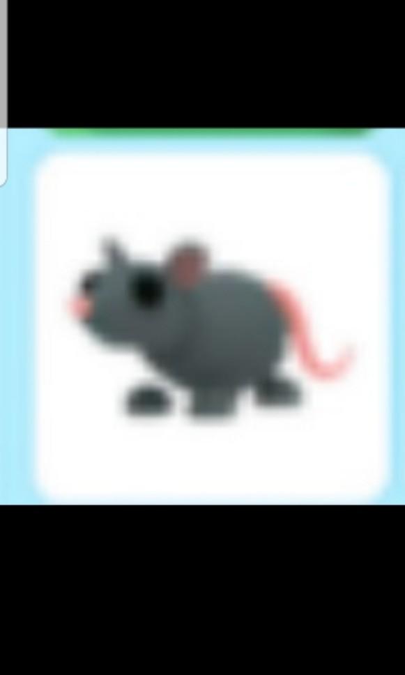 Adopt Me Rats Toys Games Video Gaming In Game Products On Carousell - rat stinger roblox