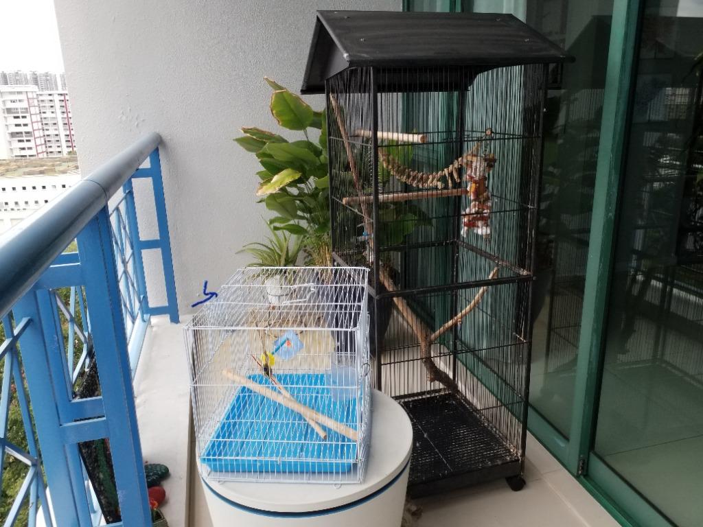 Second hand store bird cages