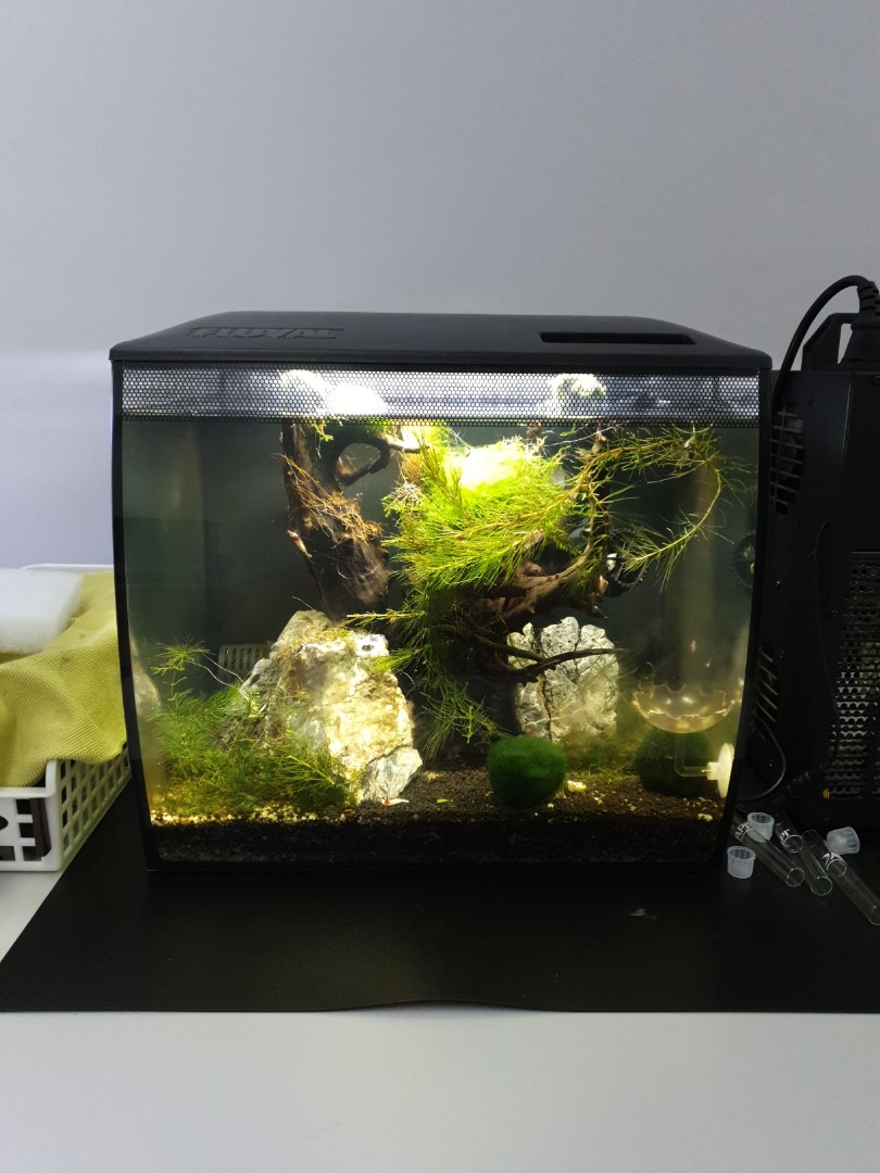 fluval flex accessories