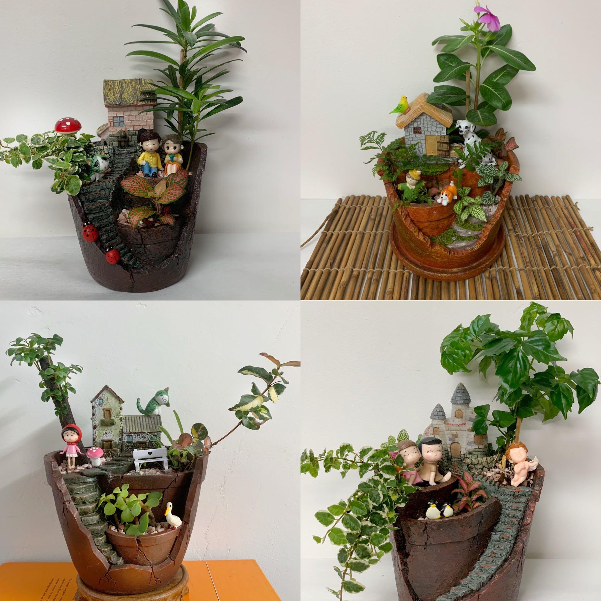 Miniature Garden Cracked Pot Series Plants Gift Gardening Plants On Carousell