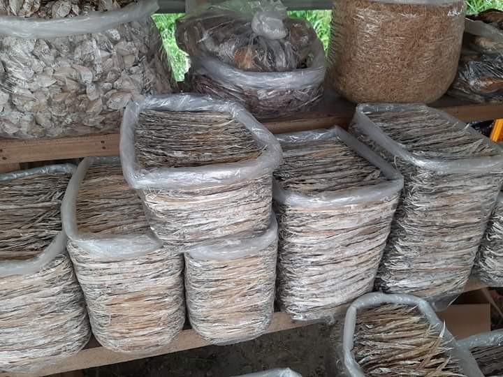 Dried Fish (Category: Chilled & Frozen Food) located in Zaragoza. Submitted by sherree1281 (Listing ID 281484683, Image 1). Description: Pre-order Dried Pingka sealed and vacuum already.