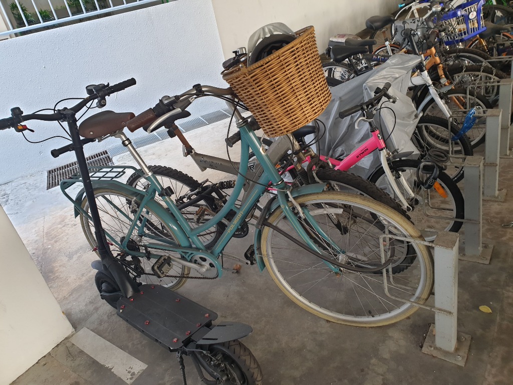Polygon Cruiser Bike with Basket Sports Equipment Bicycles Parts Bicycles on Carousell