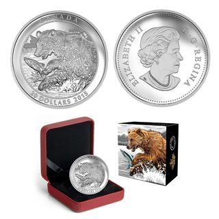 2015 ROYAL CANADIAN MINT GRIZZLY BEAR: THE CATCH SILVER COIN in capsule with COA & CLAMSHELL CASE