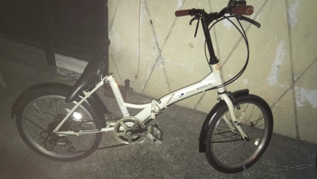 my pallas bicycle