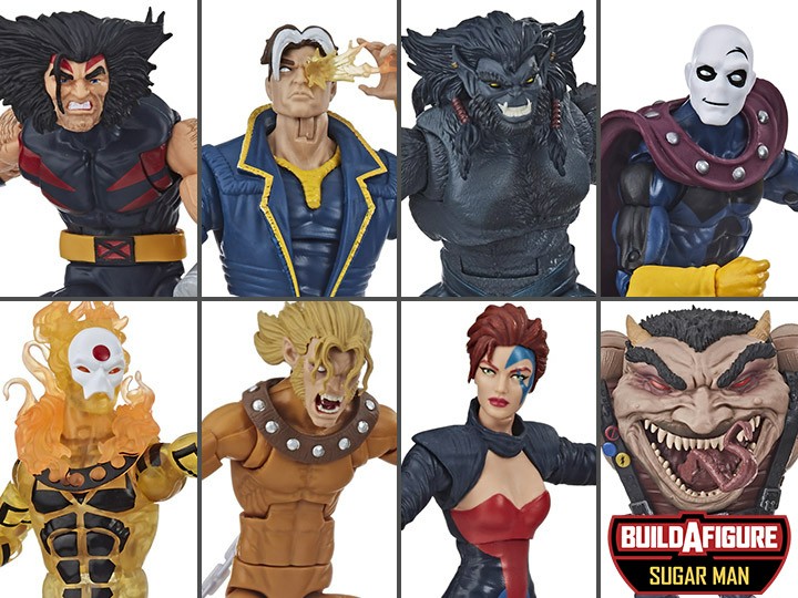 Sugar man baf wave clearance