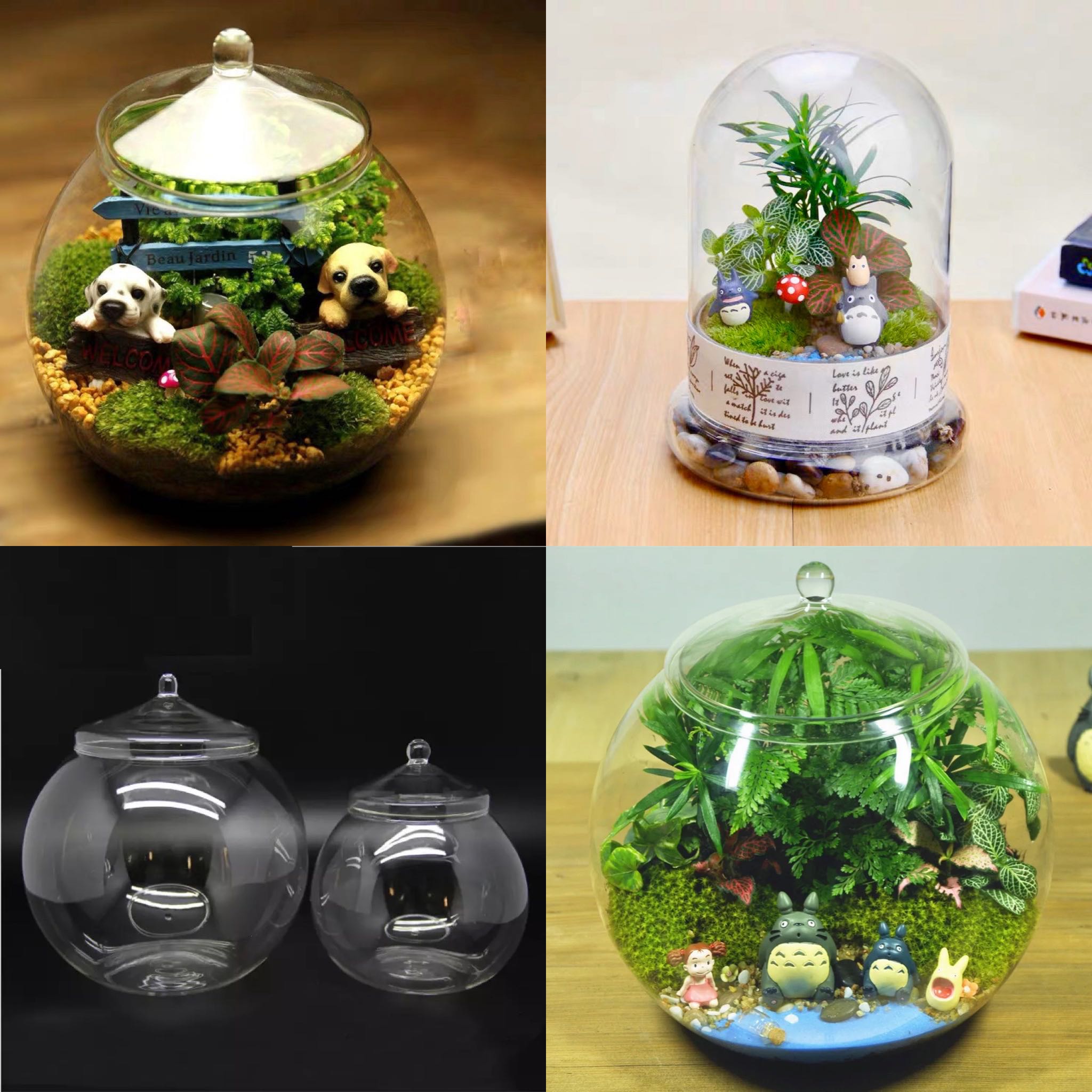 2024 Terrarium Series 15 Enclose Terrarium Fish Bowl Jar With Lid
