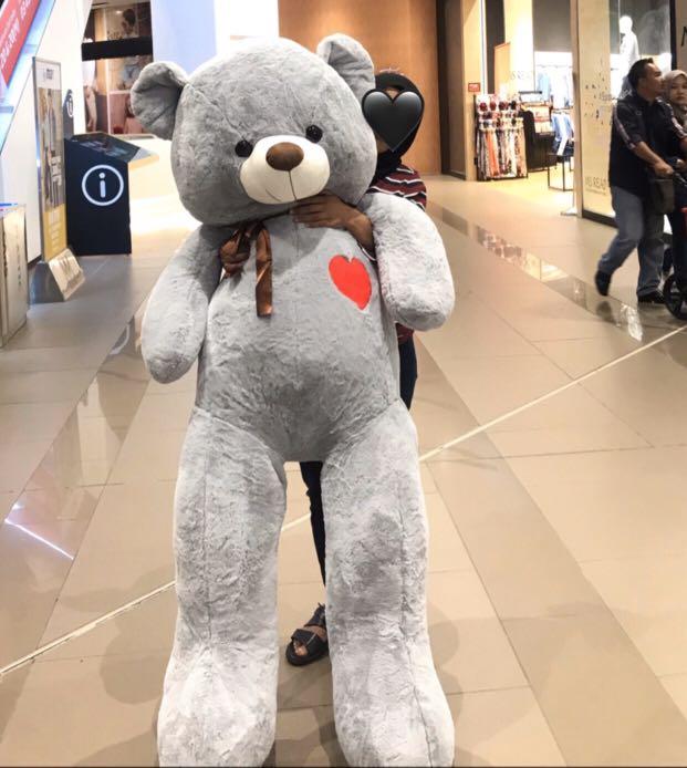 Kaison Teddy Bear Idardarjisamaj Com