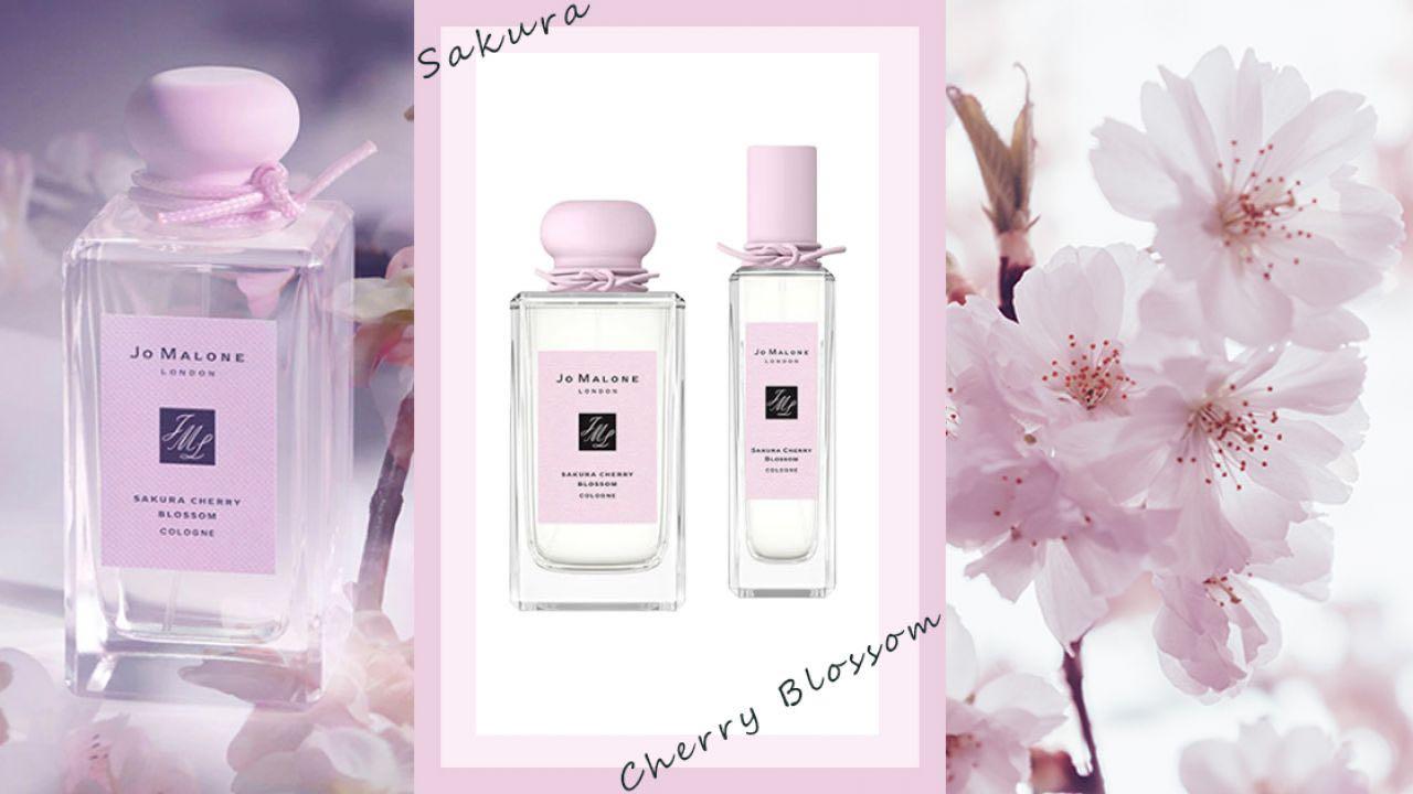 Jo malone sakura clearance blossom