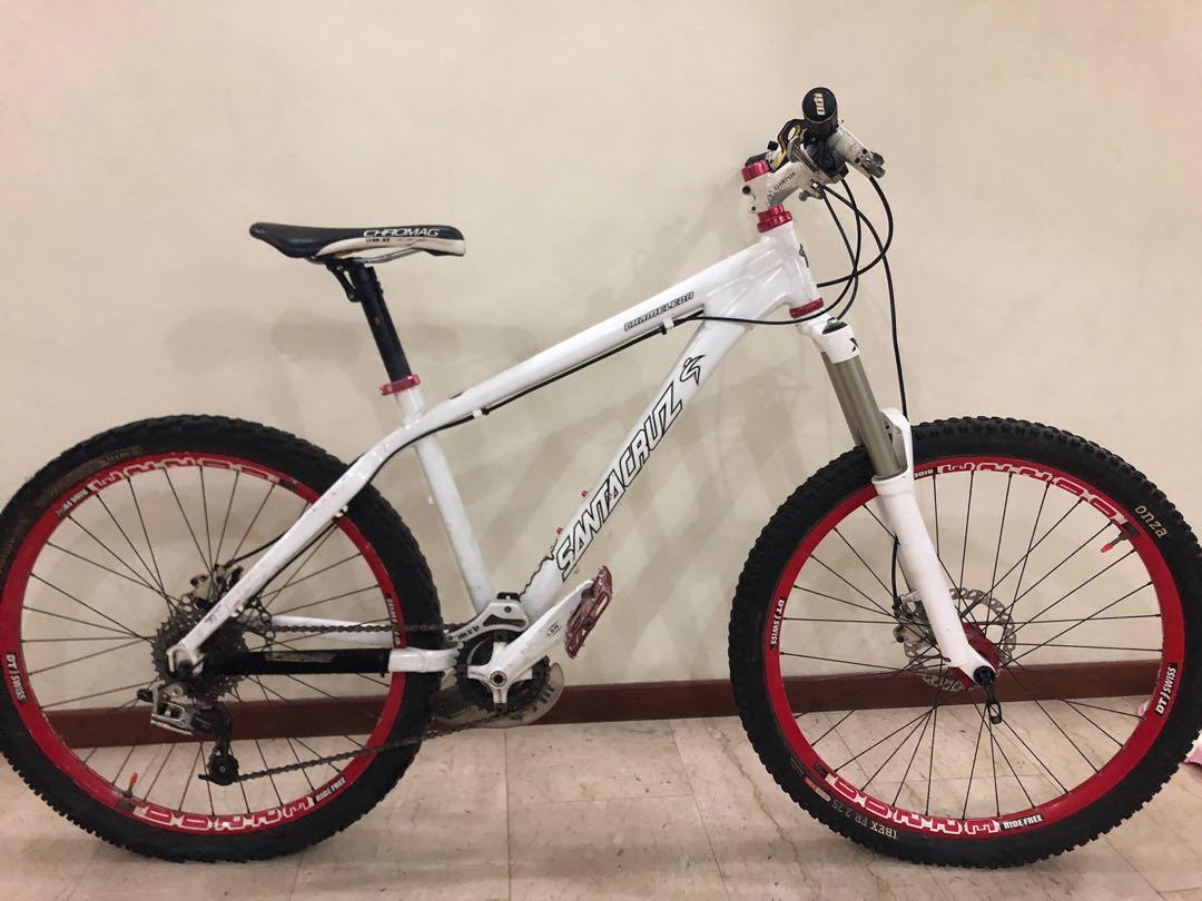 Santa cruz chameleon white deals