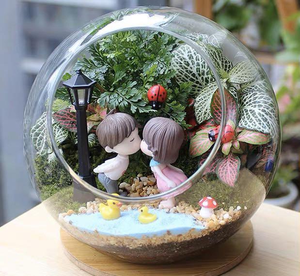 2024 Terrarium Series 7 Anniversary Gift Couple Theme Love Story