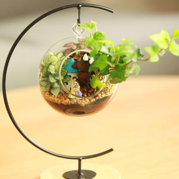 2024 Terrarium Series 7 Anniversary Gift Couple Theme Love Story