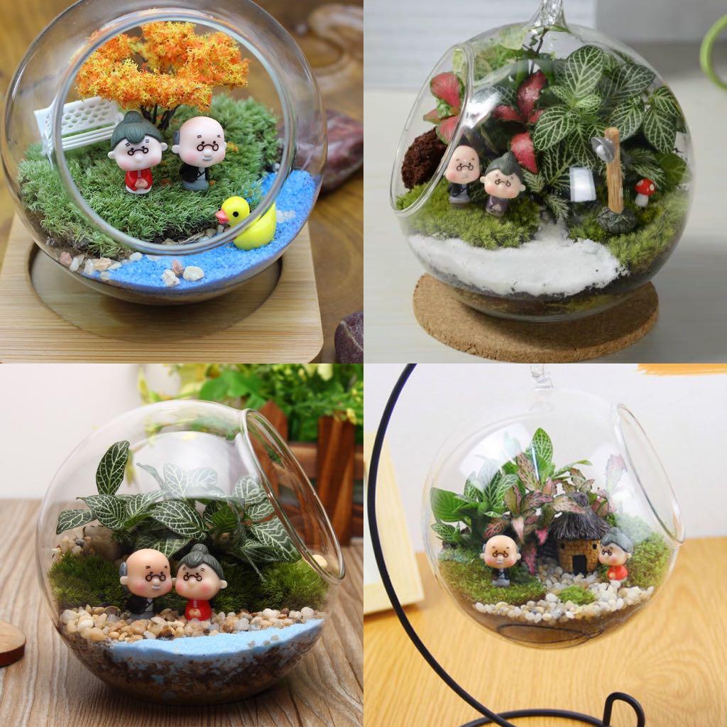 2024 Terrarium Series 7 Anniversary Gift Couple Theme Love Story   Terrarium 1583546799 C54866c5 Progressive 