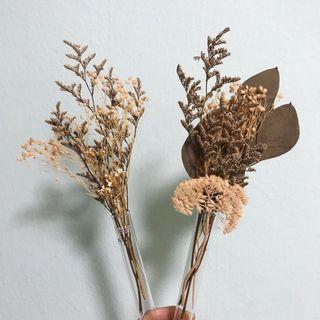 Dried Flower Test Tube Bouquet