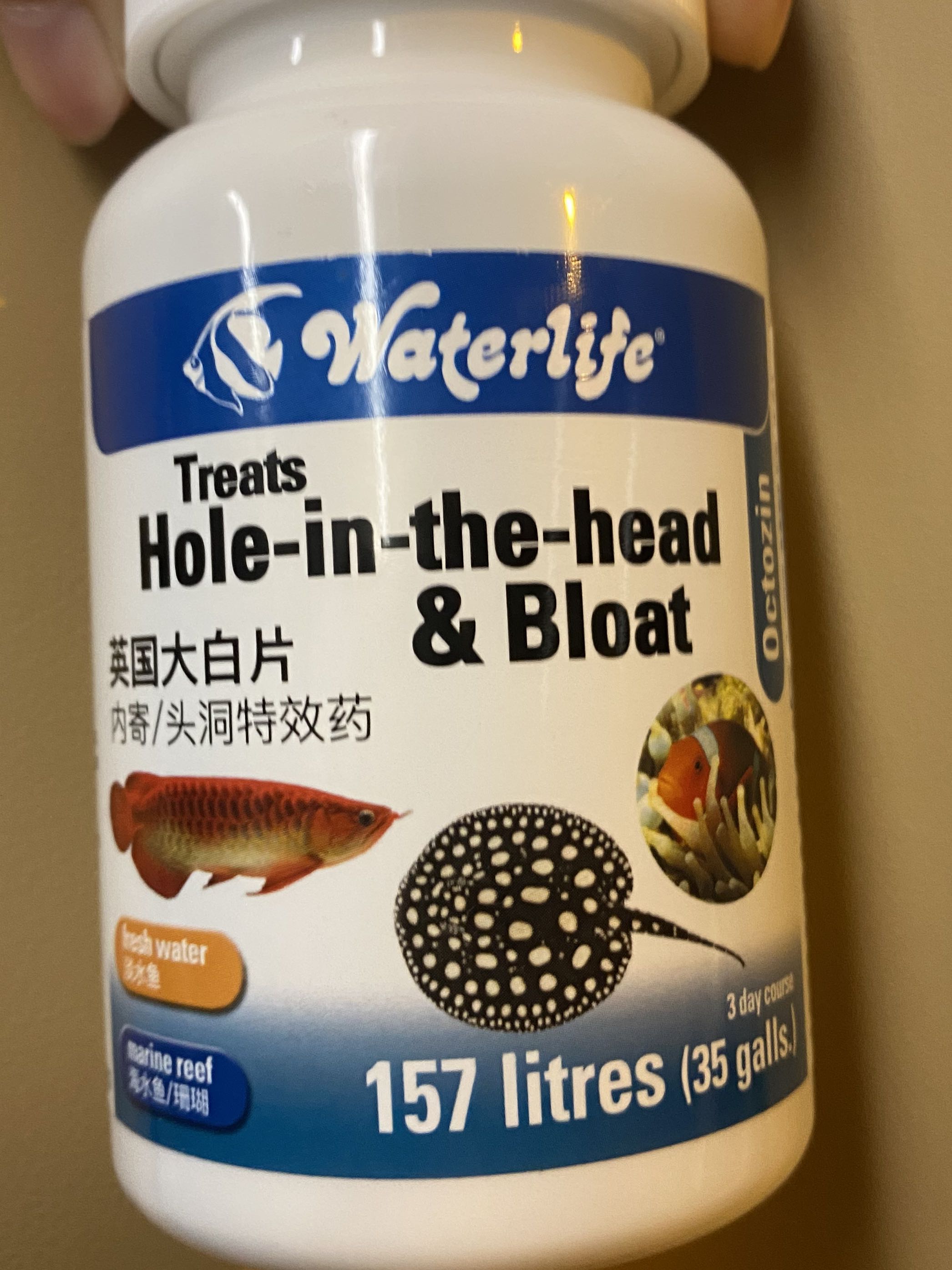 Waterlife 驅蟲魚藥大白片腸胃感染 頭洞病 寄生蟲 魚色變淡或黑 寵物用品 寵物食品 Carousell