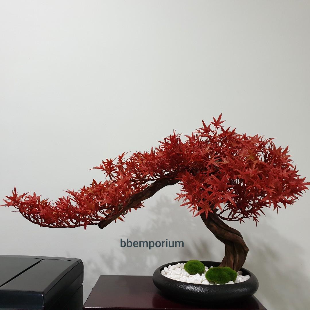 Artificial Red Maple Bonsai Semi Cascading Gardening Plants On Carousell