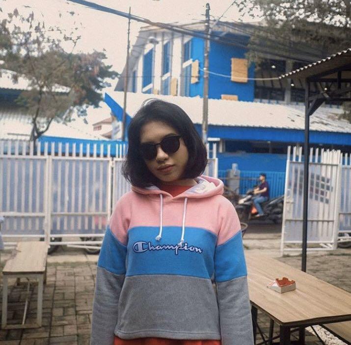 champion cropped colorblock hoodie