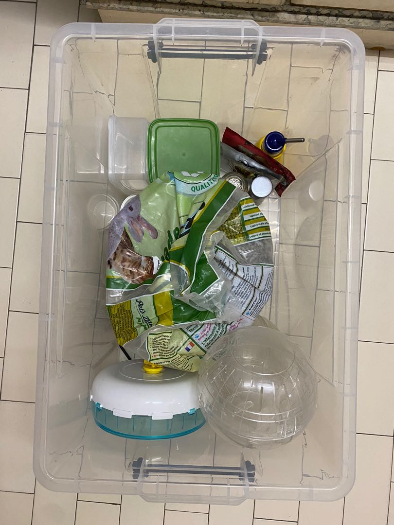 Syrian hamster shop starter kit
