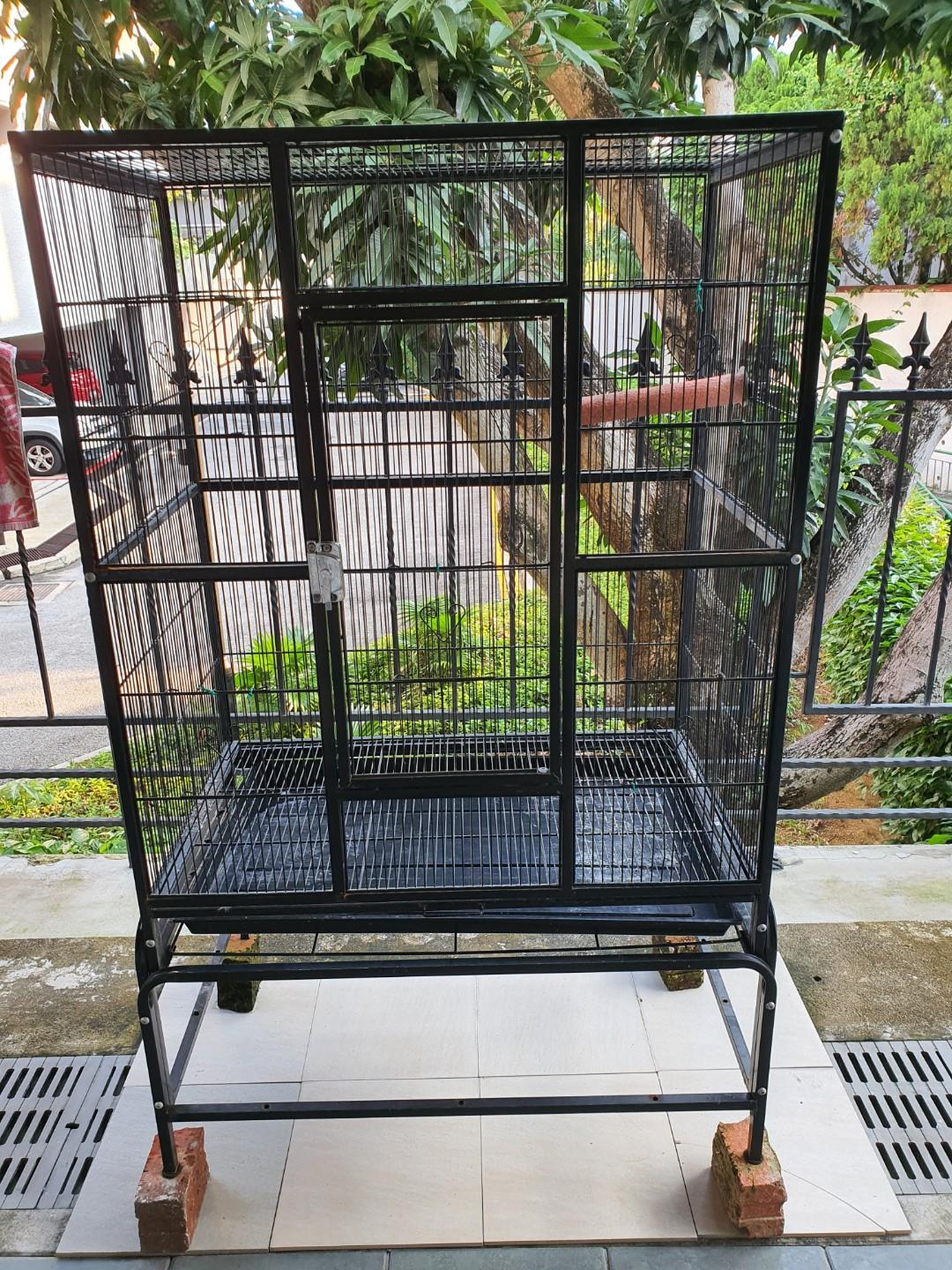 Used bird cage, Pet Supplies, Homes & Other Pet Accessories on Carousell