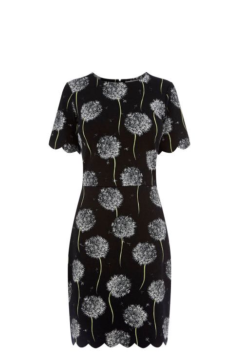 warehouse dandelion dress