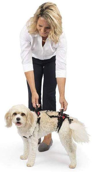 PetSafe Dog Full Body Lifting Aid with Handle Support Harness (Small)