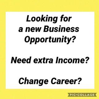 Business & Career Opportunity
