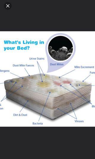 Mattress, Sofa & Carpet cleaning
