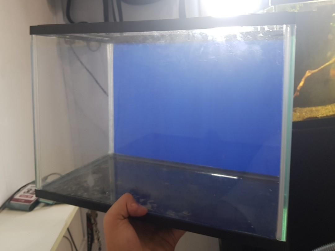 Fish tank, Pet Supplies, Homes & Other Pet Accessories on Carousell